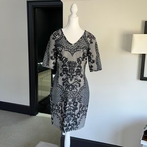 Baraschi Fleuris Lace Dress